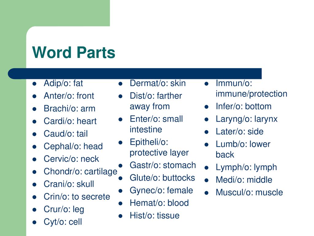 Chapter 2 Body Organization Professor Fowler ppt download
