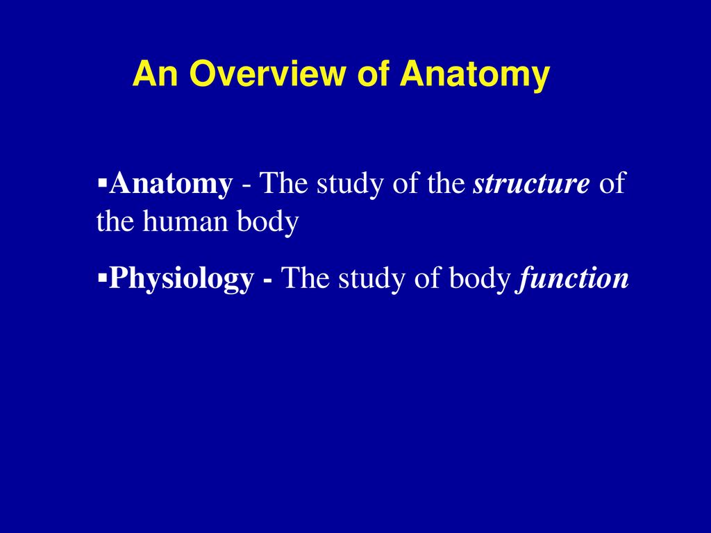 Anatomy & Physiology An Introduction Biology Diagrams