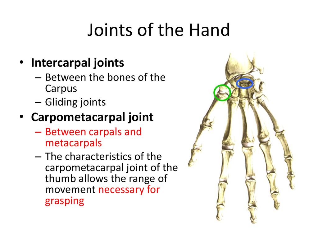 Joints. - ppt download