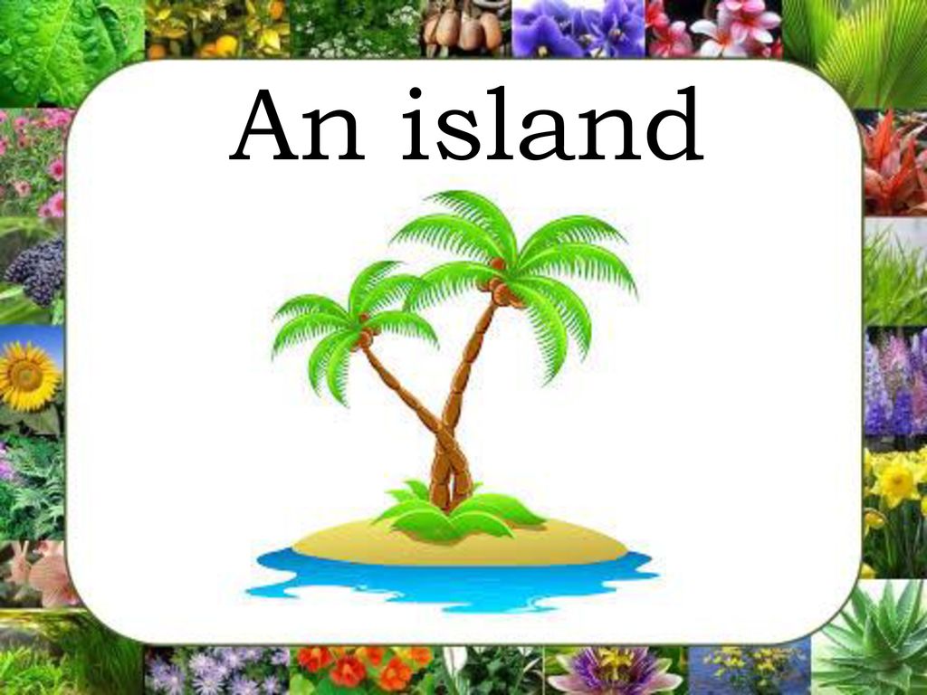 A magic island 2. Английский Исланд. A Magic Island 2 класс. Спотлайт 2 класс a Magic Island. Рисунок my Holidays.