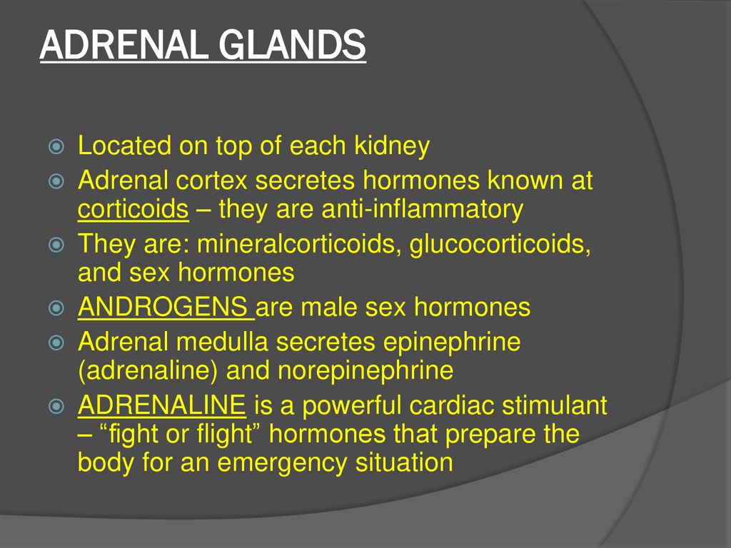 Endocrine System Introduction Video - ppt download