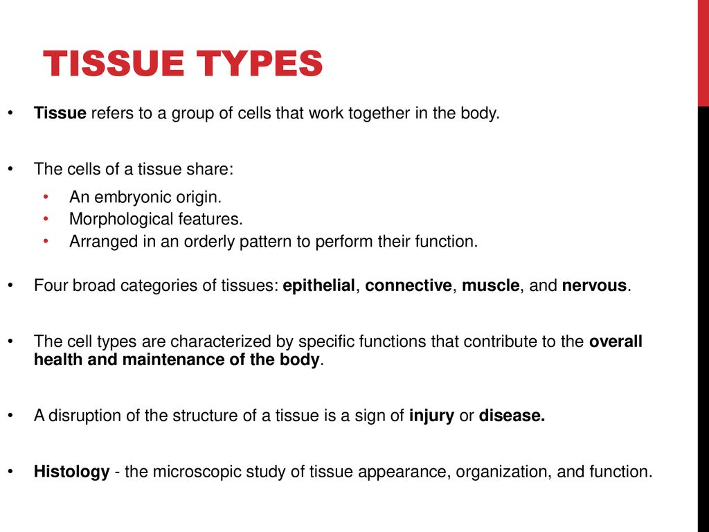 Tissue Types Tissue refers to a group of cells that work together in the body. The cells of a tissue share: