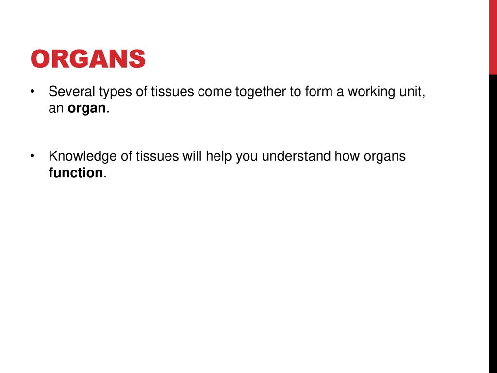 organs Several types of tissues come together to form a working unit, an organ.