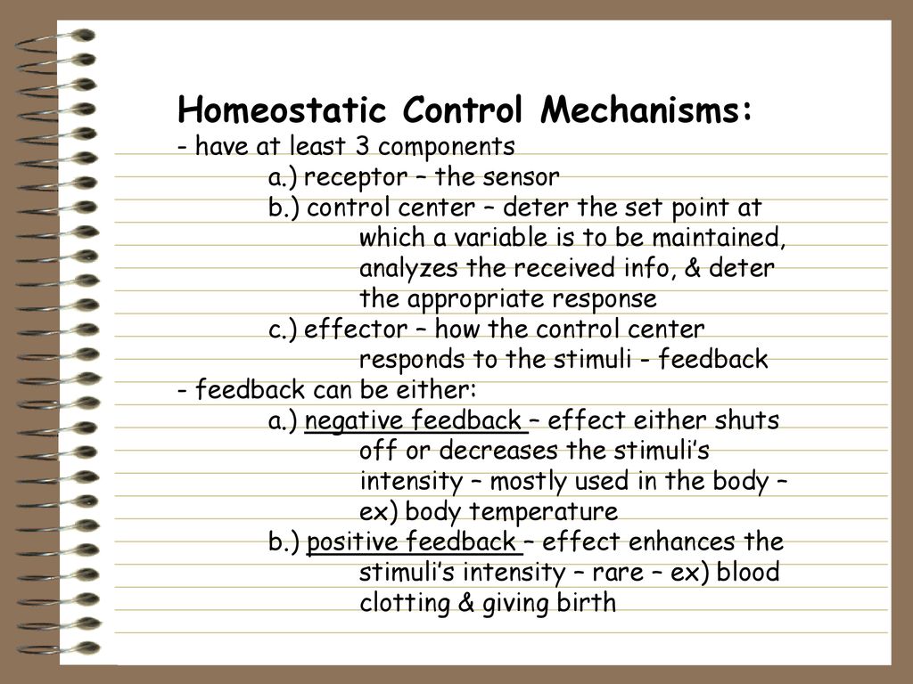 What Is A Homeostatic Property Cluster What Is A Homeostatic Property Cluster