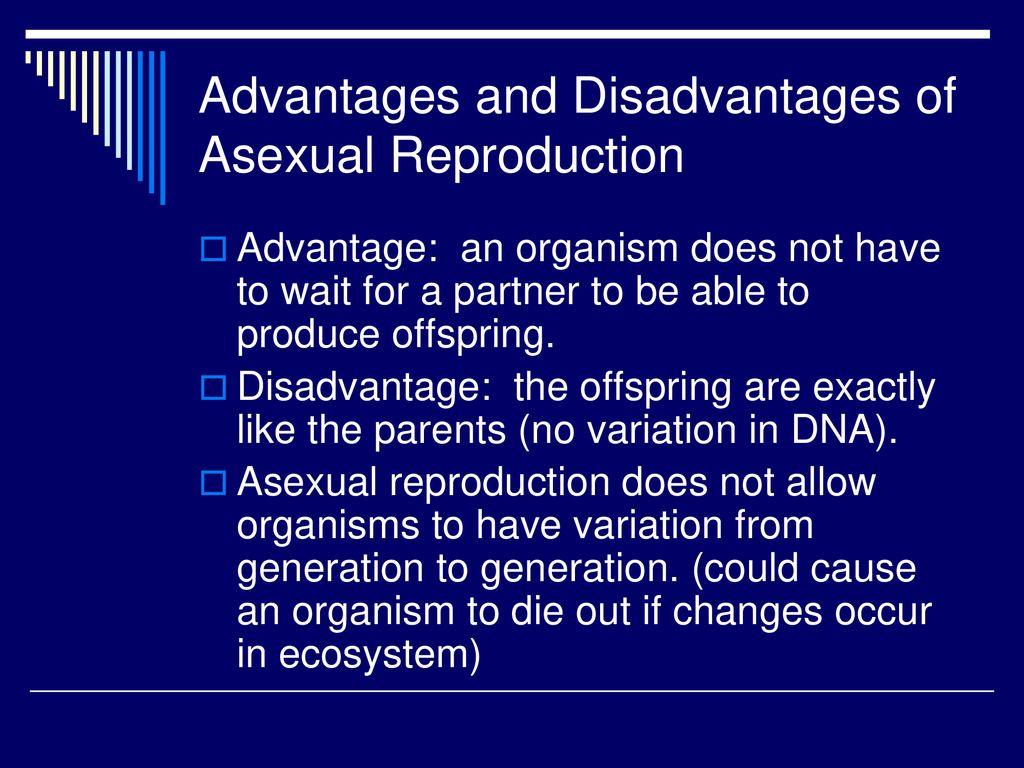 Advantages and Disadvantages of Asexual Reproduction