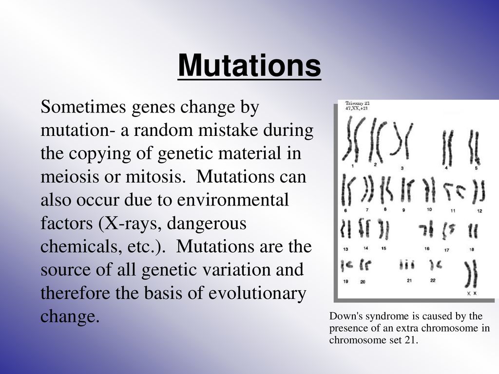 Heredity Reproduction Biology Diagrams
