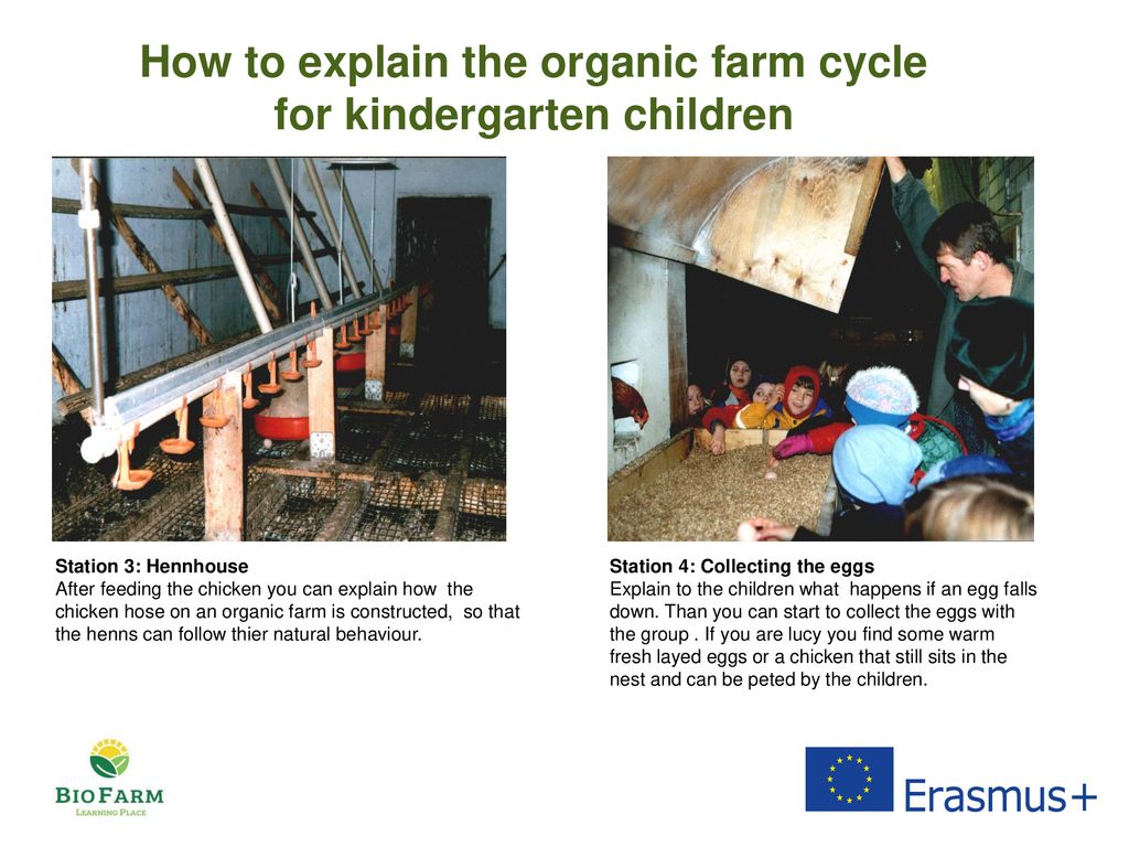 How to explain the organic farm cycle for kindergarten children