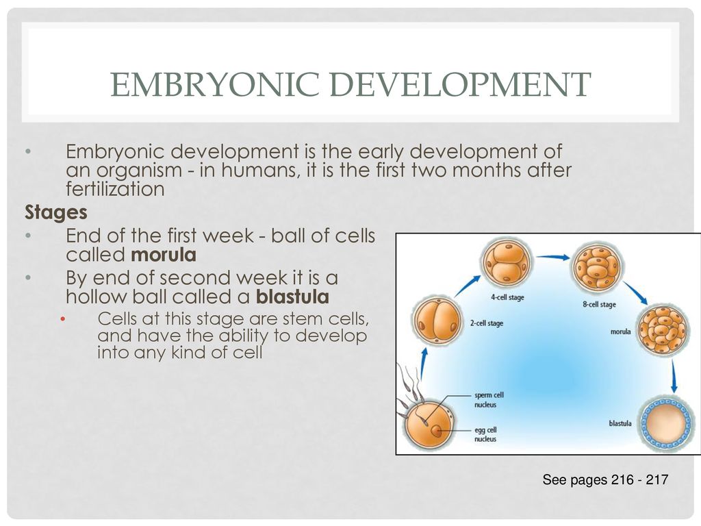 Sexual Reproduction ppt download Biology Diagrams