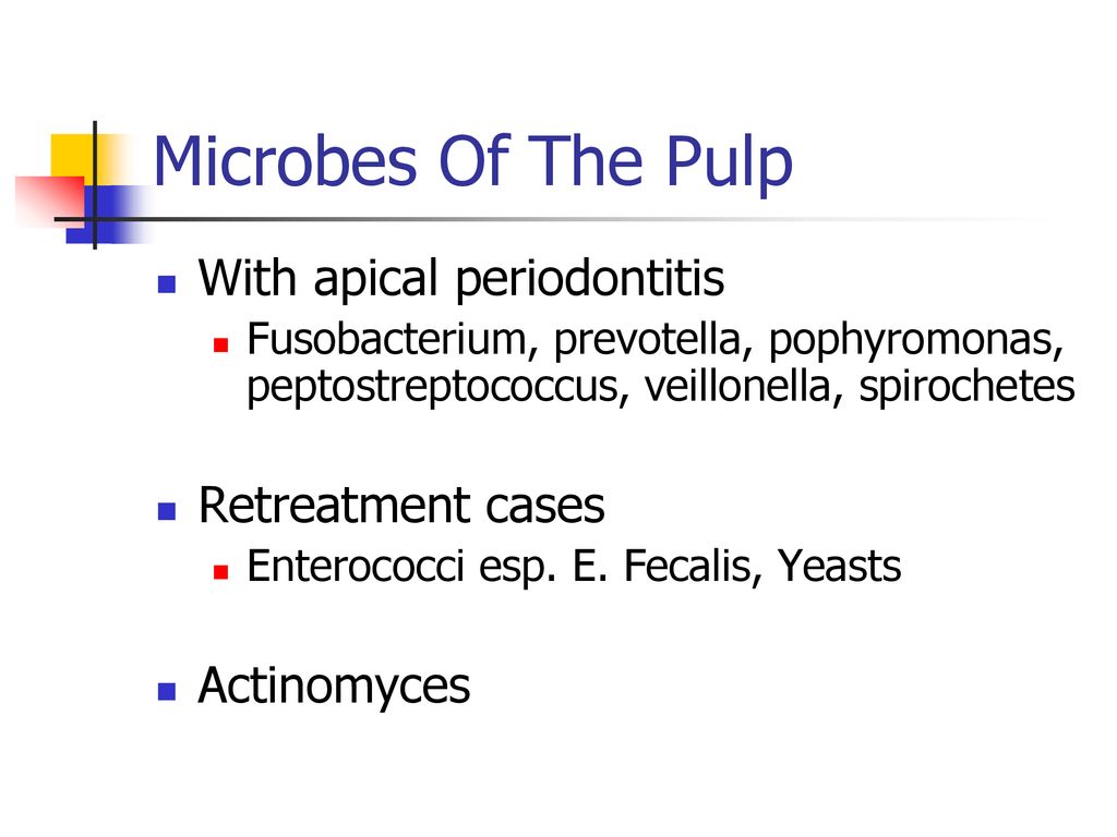 Microbes Of The Pulp With apical periodontitis Retreatment cases