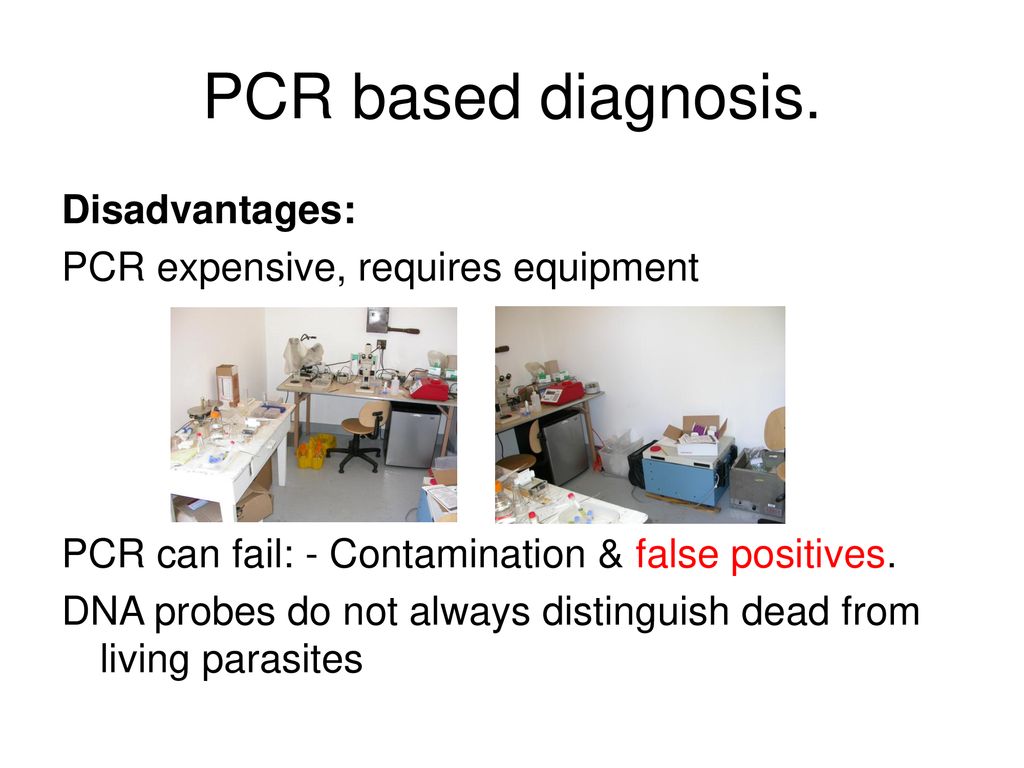 PCR based diagnosis. Disadvantages: PCR expensive, requires equipment