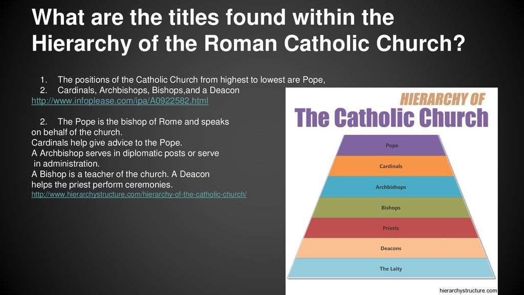 by Brayden Nam Romil Daniel Maya and Chris ppt download