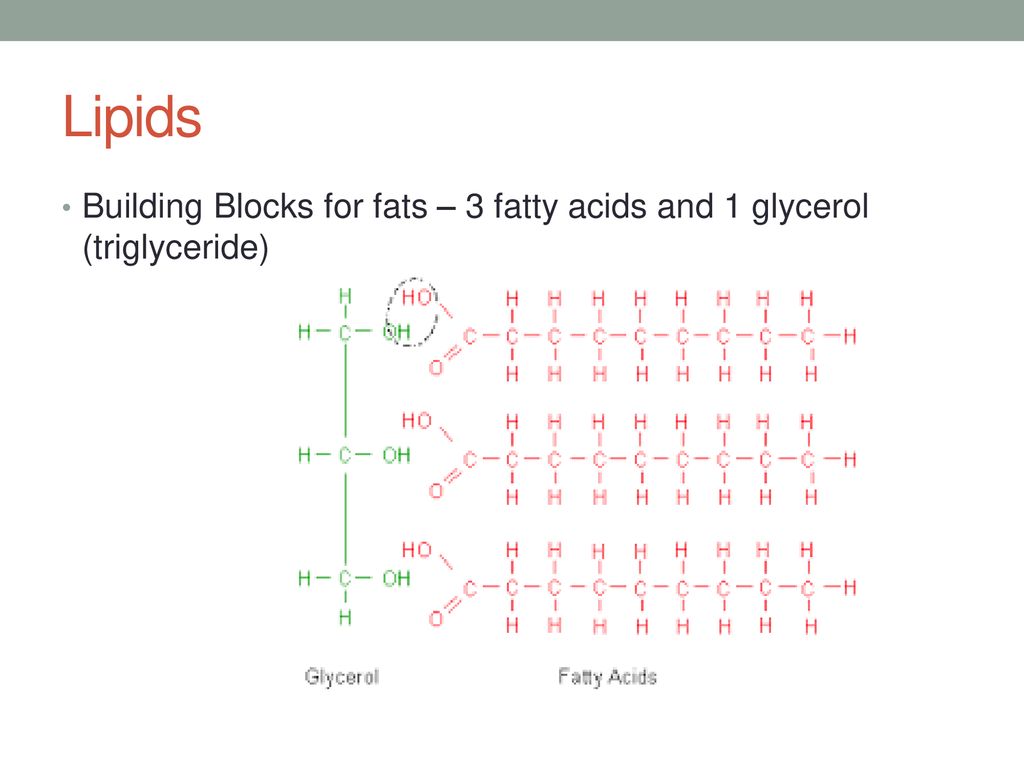 Organic Molecules Chapter ppt download