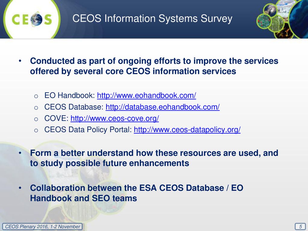 CEOS Information Systems Survey