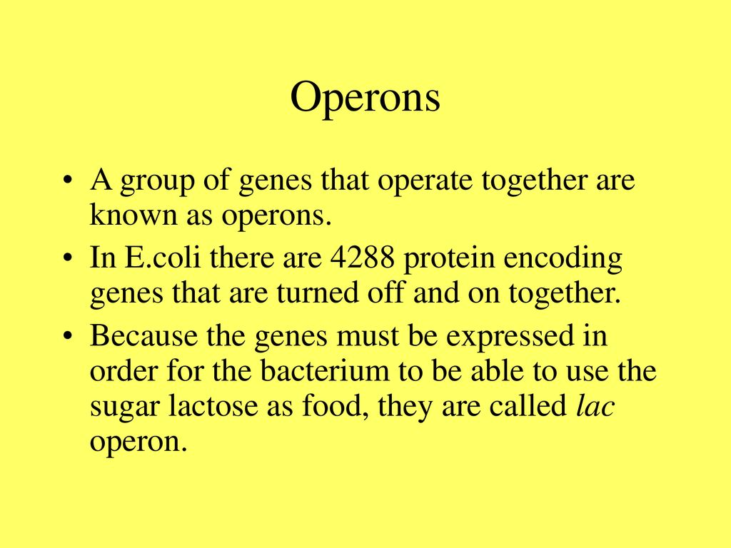 Operons A group of genes that operate together are known as operons.