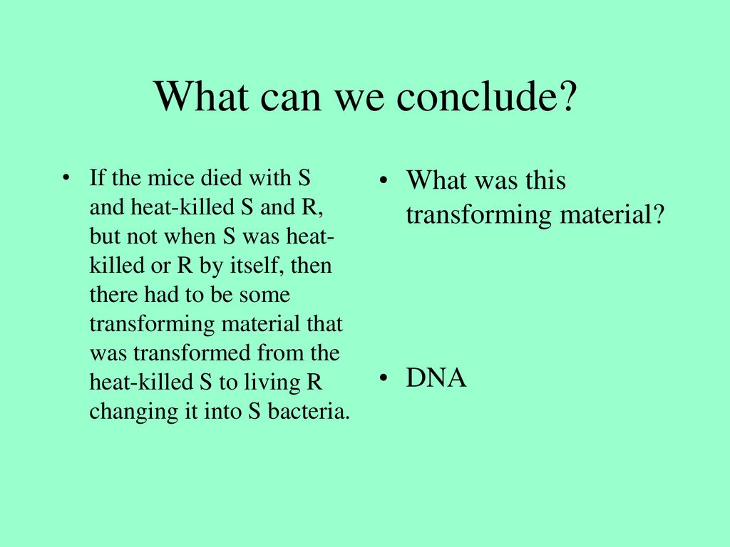 What can we conclude What was this transforming material DNA