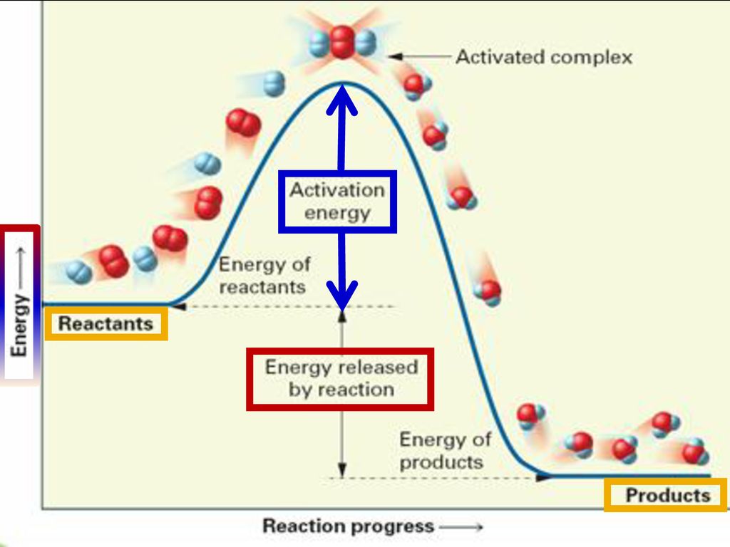 Section 2: Reaction Rates - Ppt Download