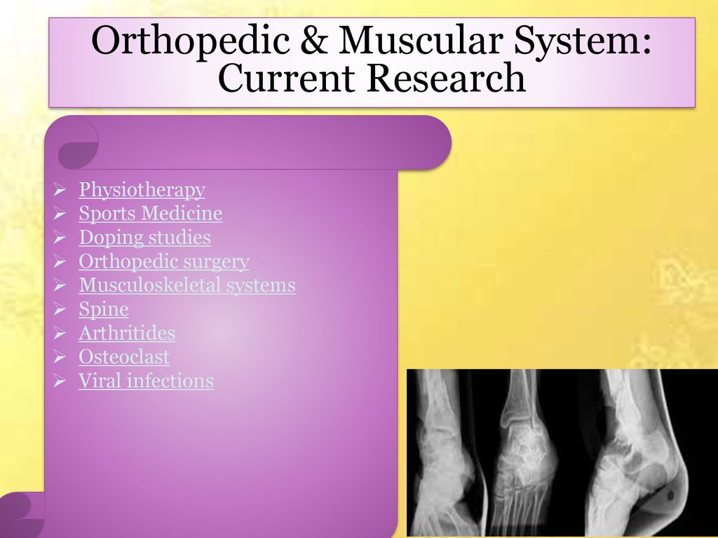 Orthopedic & Muscular System: Current Research - Ppt Download