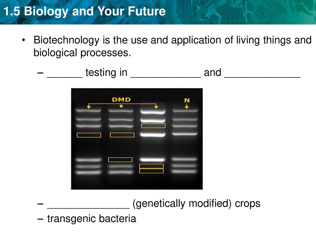 Biotechnology is the use and application of living things and biological processes.