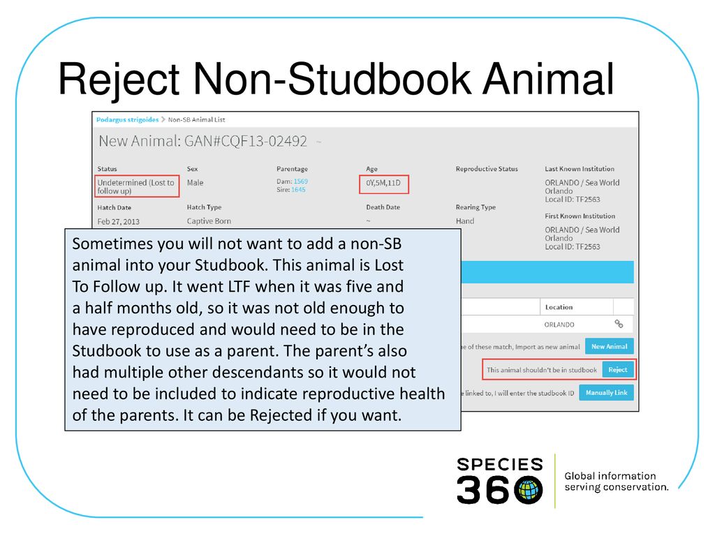 Reject Non-Studbook Animal