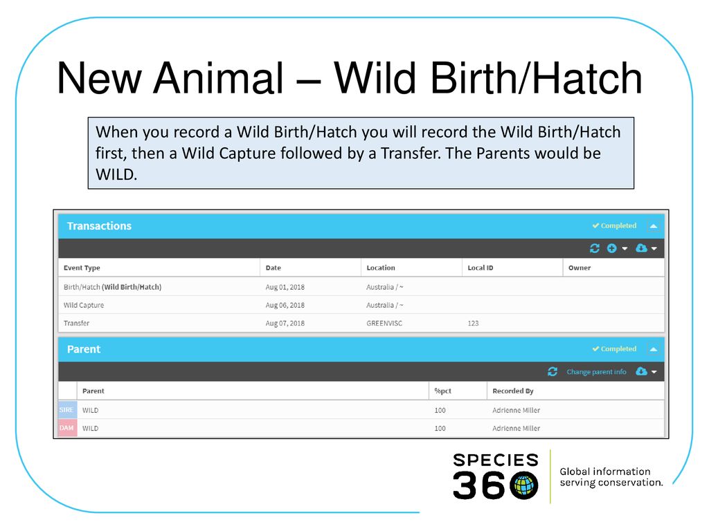 New Animal – Wild Birth/Hatch