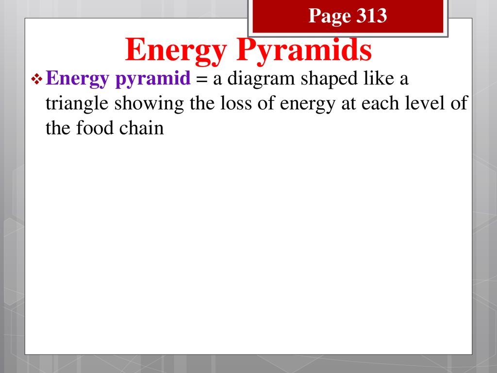 Interaction of Living Things Biology Diagrams