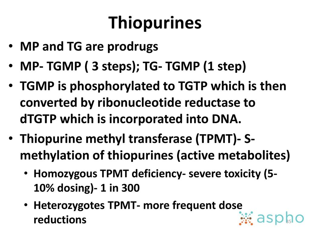 Thiopurines MP and TG are prodrugs