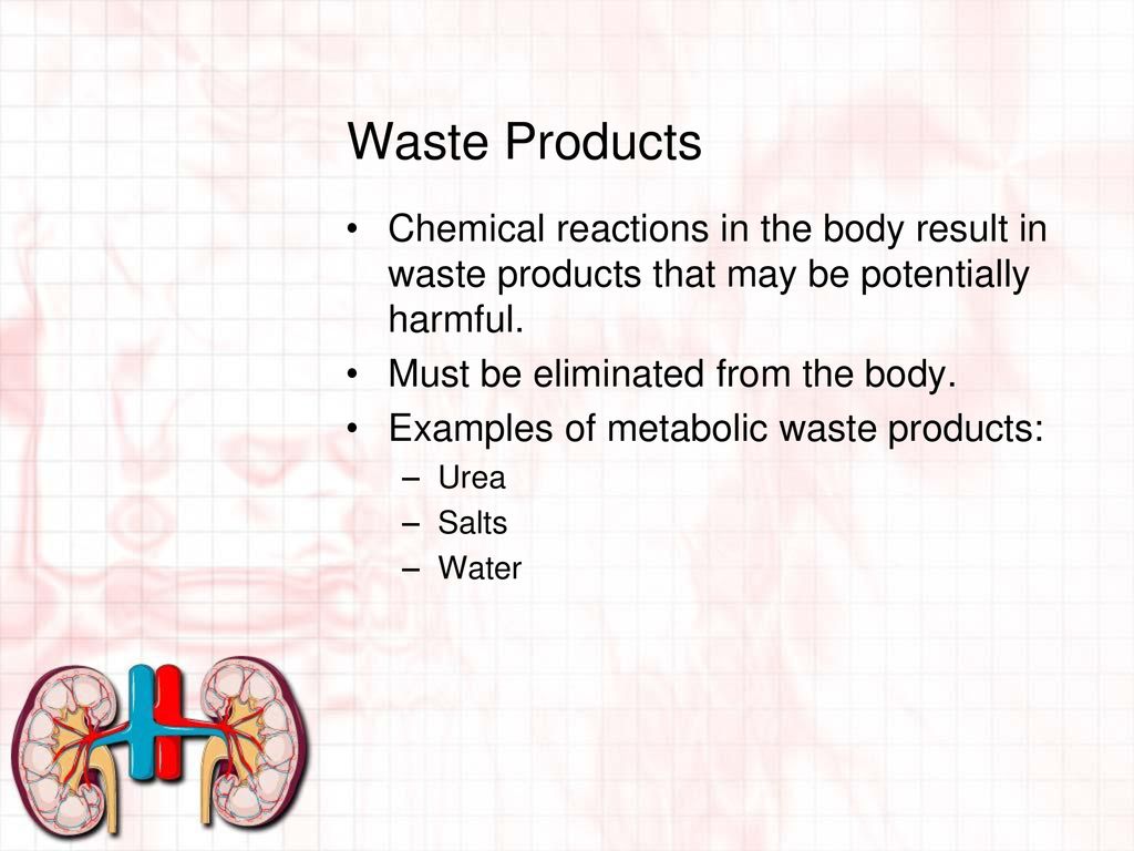 metabolic waste products examples