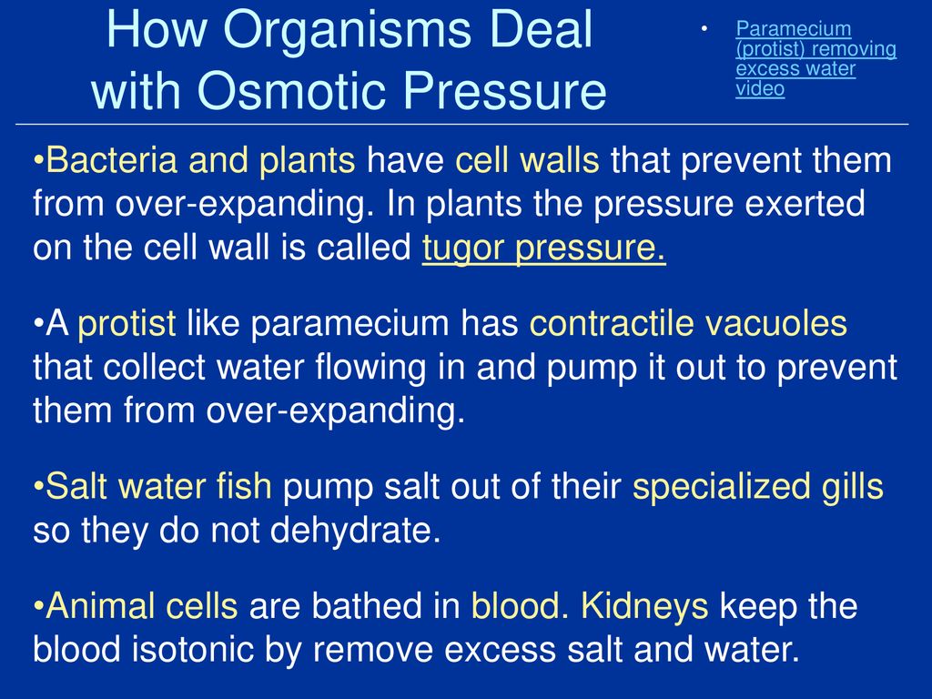 How Organisms Deal with Osmotic Pressure