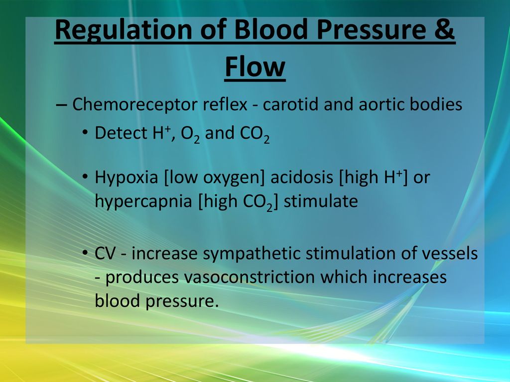 Saladin Ch 20 Blood Vessels Ppt Download saladin-ch-20-blood-vessels-ppt-download