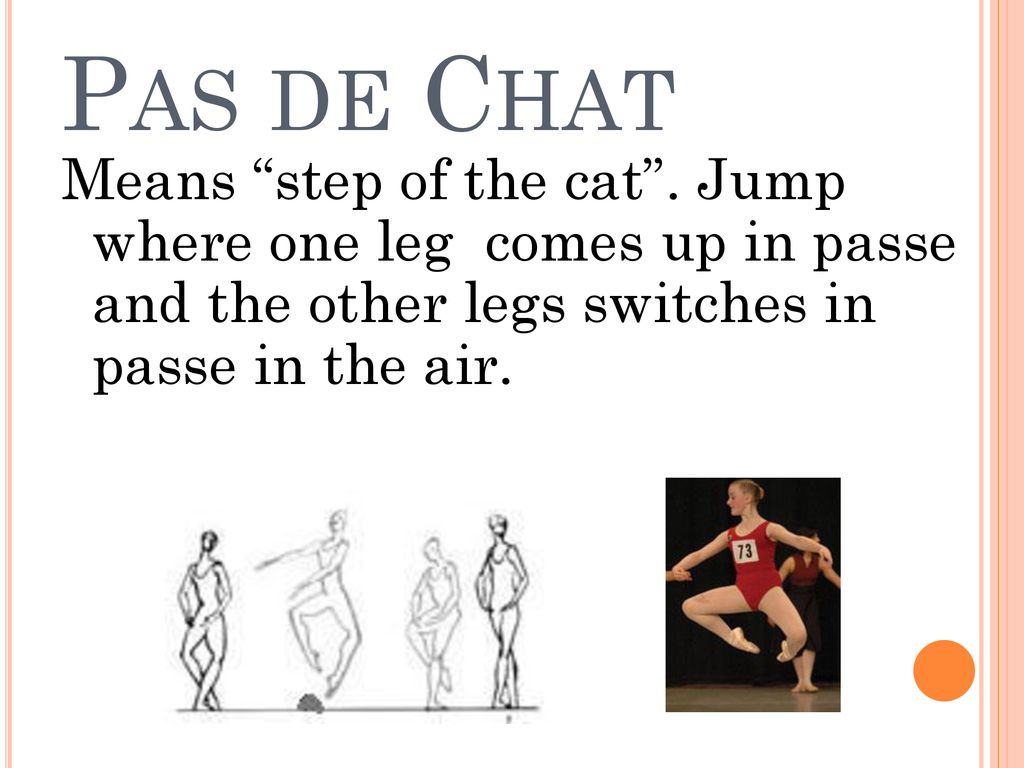De chat pas Ballet Dictionary: