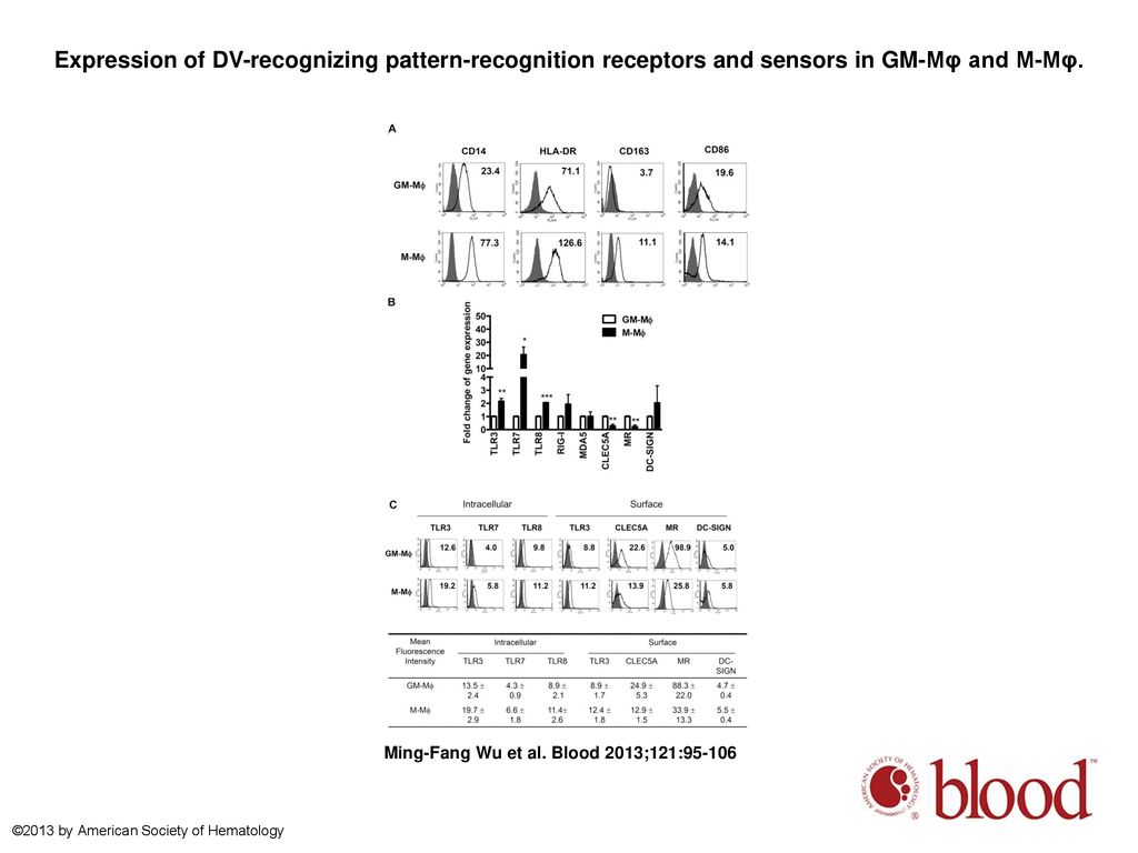 Expression of DV-recognizing pattern-recognition receptors and sensors in GM-Mφ and M-Mφ.