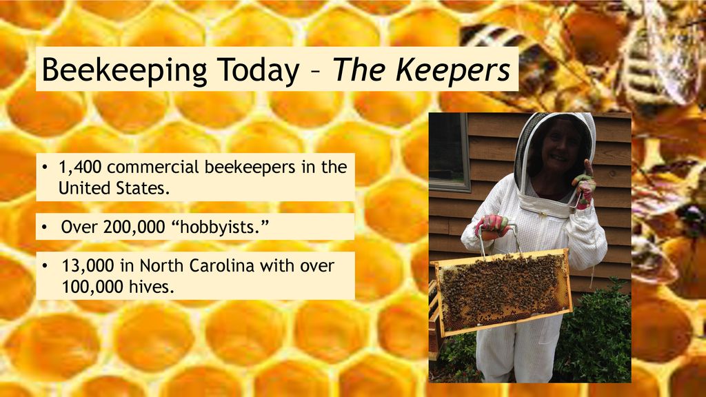 1. History of Bee keeping-1.pptx