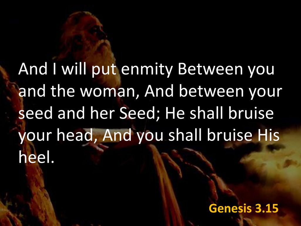Genesis 3:15 I will put enmity between you and the woman, and between your  offspring and her offspring; he shall bruise your head, and yo... |  Instagram