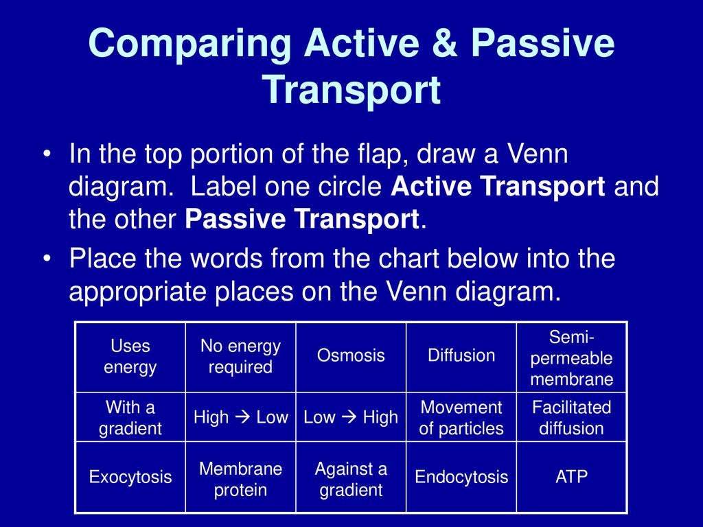 Active Vs Passive Transport Chart