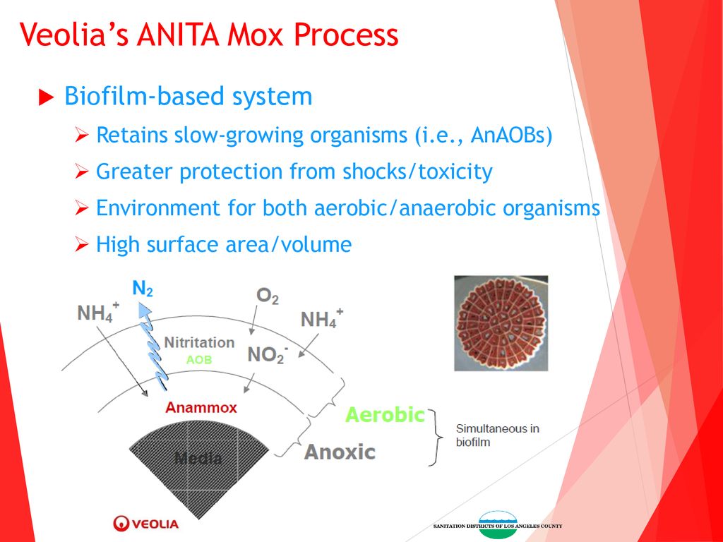 Veolia’s ANITA Mox Process