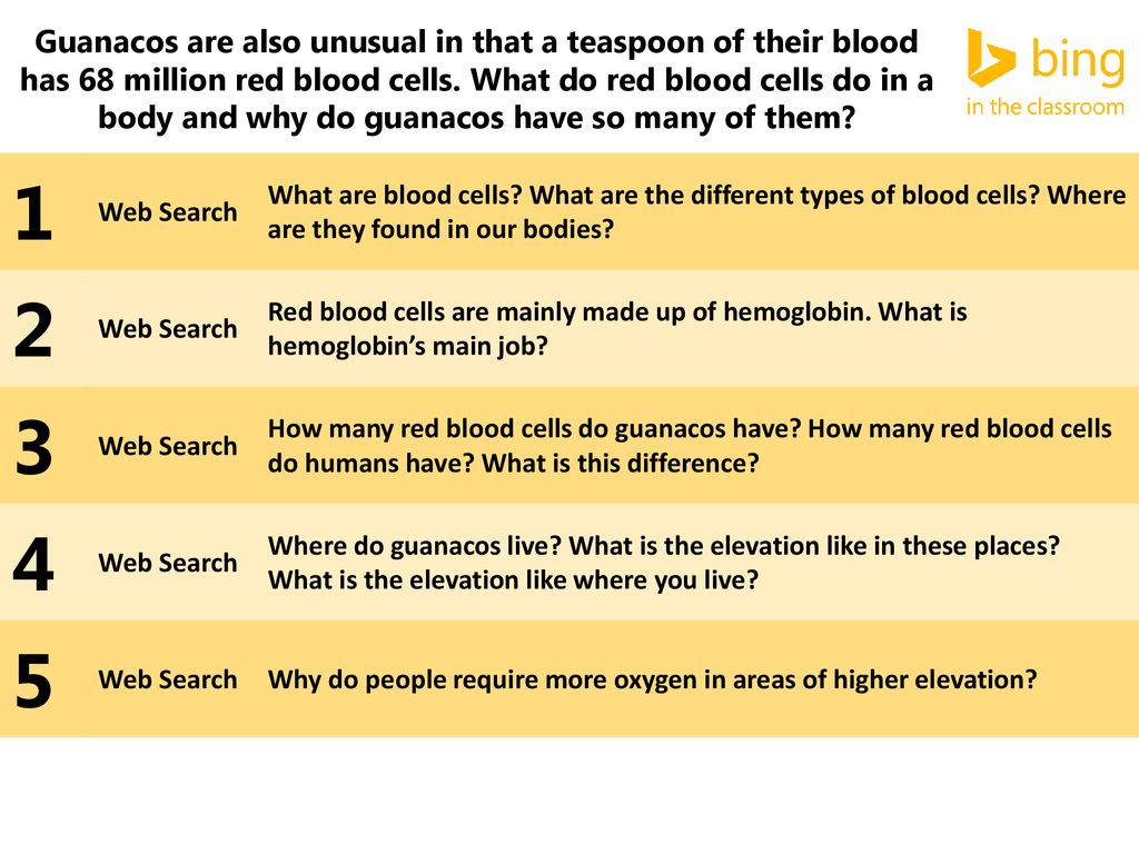 Teacher Guide This lesson is designed to teach kids to ask a critical