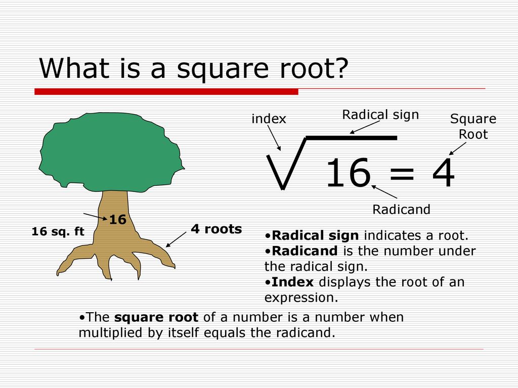 Squared root me. Square root. Square root of Square root of 16. Square roots presentation. Root 4 root 3 2 Square.
