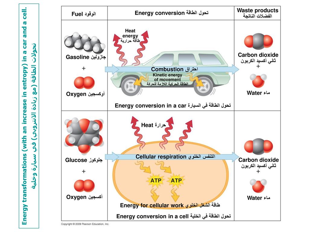 الوقود من احتراق تتحول إلى كيميائية الطاقة بعد طاقة حركية في السيارة طاقة في البطارية