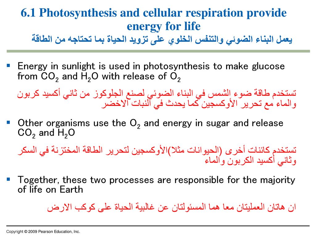 عملية تحتاج إلى ثاني أكسيد الكربون والماء والطاقة وصبغة الكلوروفيل لتطلق الجلوكوز والأكسجين