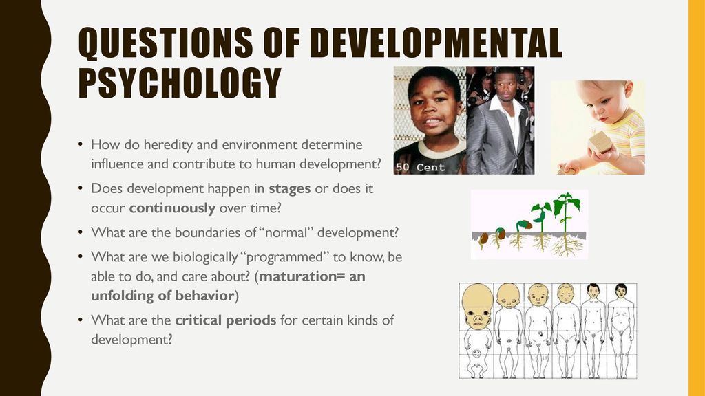 periods of human development psychology