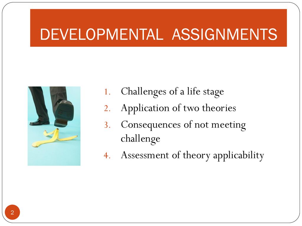 88 assignments for development in place