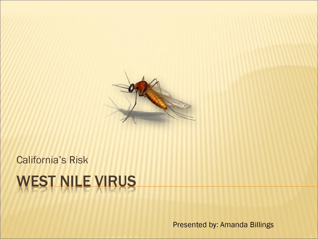 West Nile Virus California’s Risk Presented by: Amanda Billings - ppt