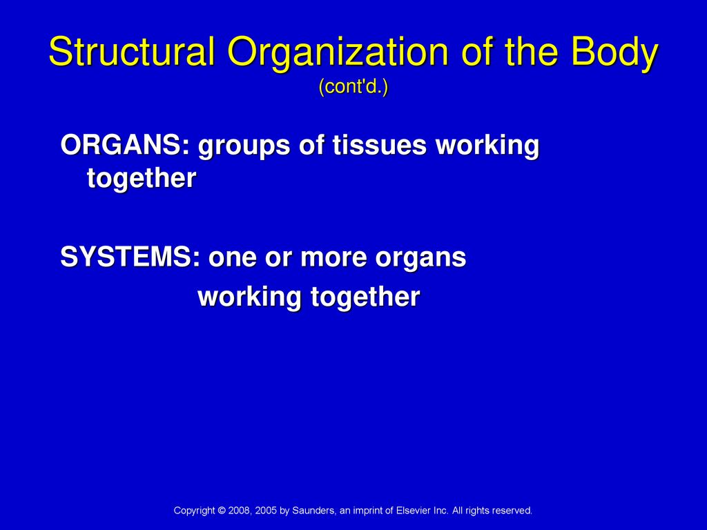 Structural Organization of the Body (cont d.)