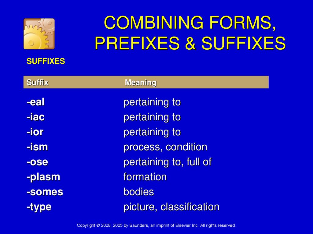 COMBINING FORMS, PREFIXES & SUFFIXES