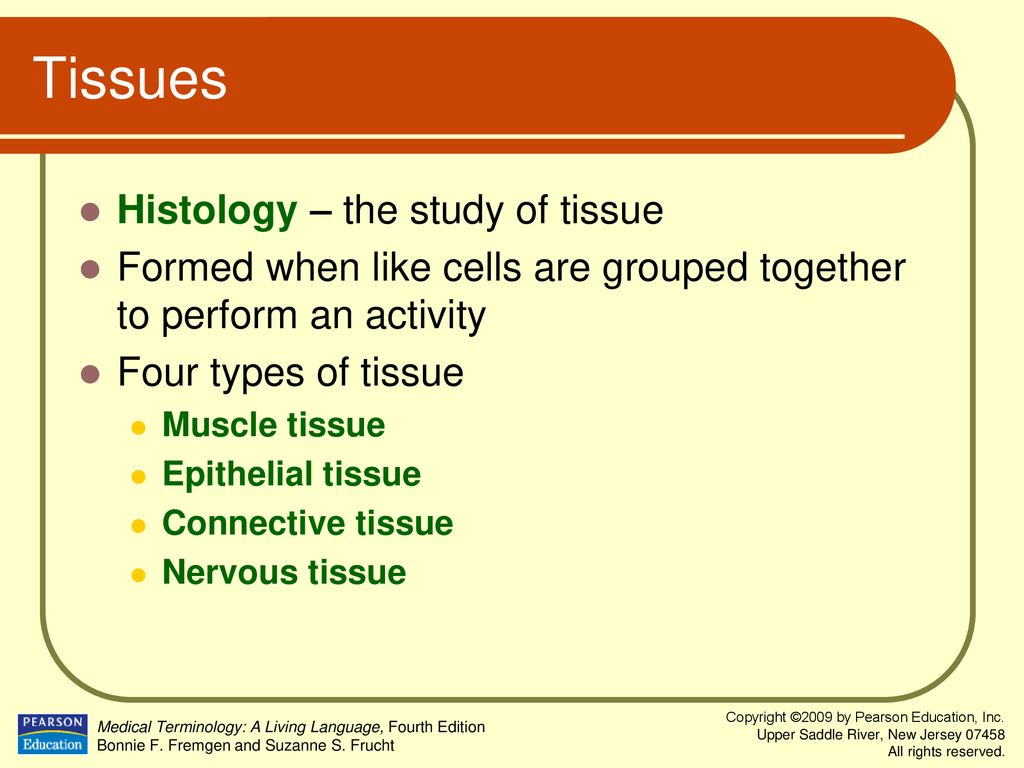 Tissues Histology – the study of tissue