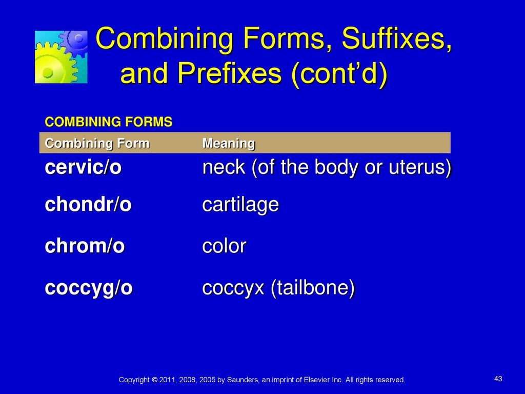 Combining Forms, Suffixes, and Prefixes (cont’d)