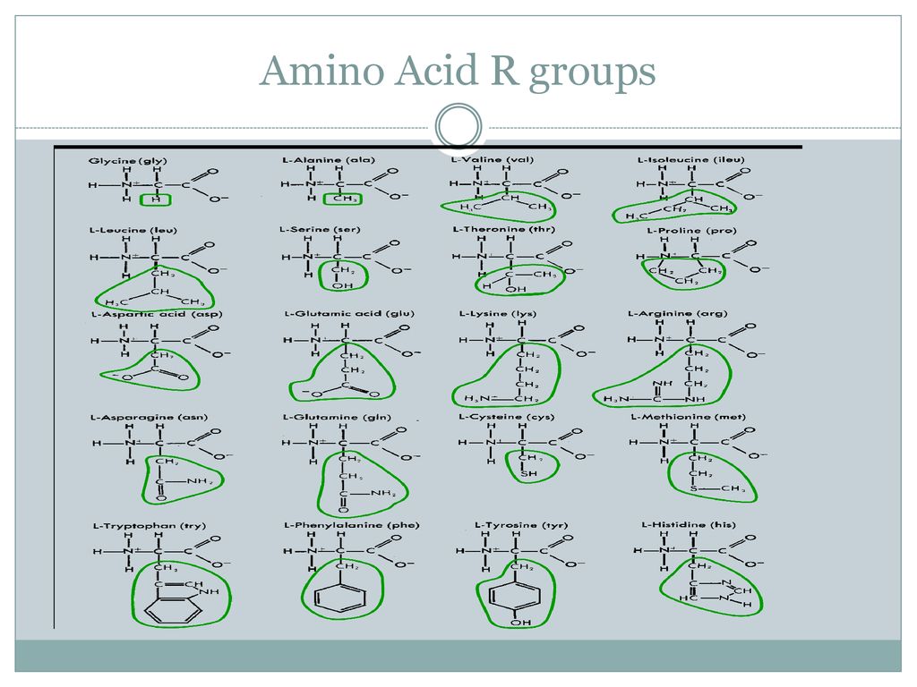 Organic chemistry ppt download