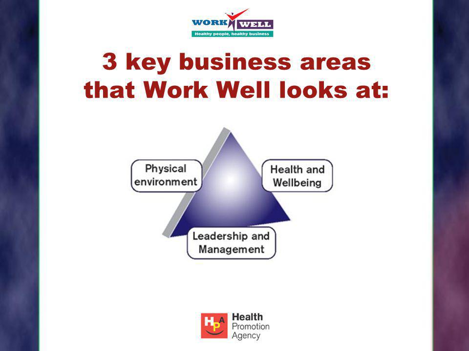3 key business areas that Work Well looks at: