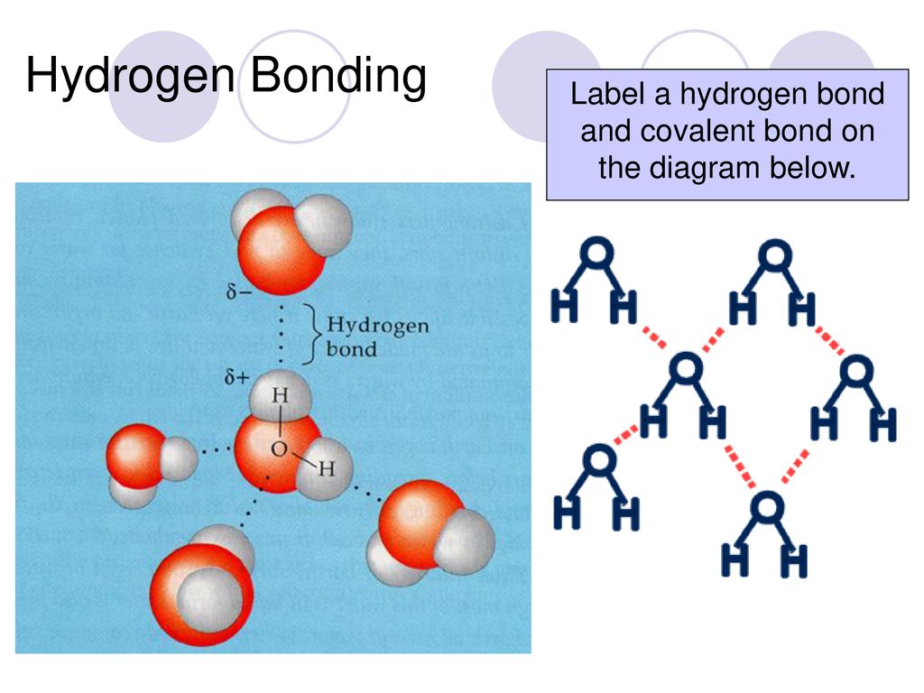 Properties of Water freezing condensation melting cohesion ...