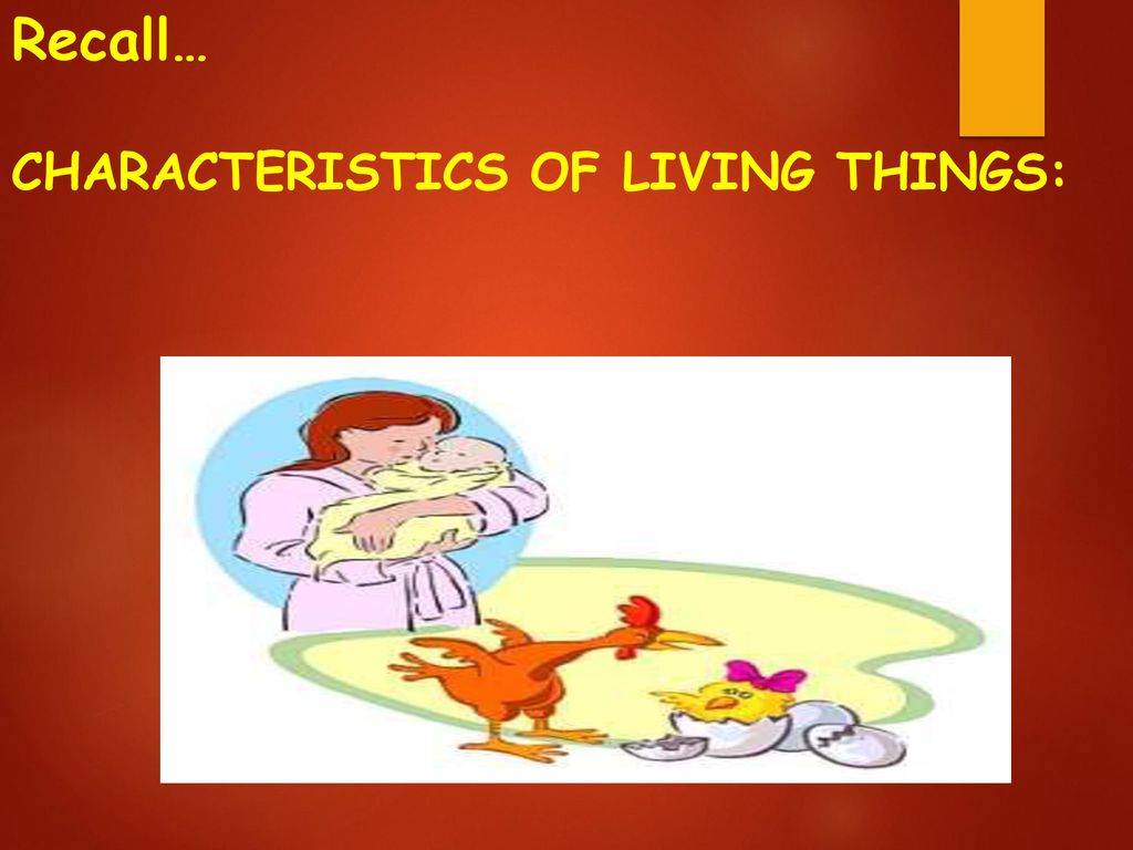 Recall… CHARACTERISTICS OF LIVING THINGS: